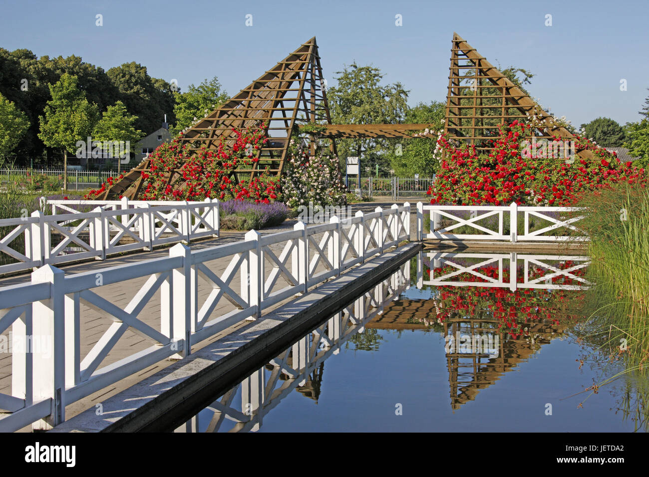 Deutschland, Hessen, Heim Hutmacher, Rosarium, Pergola, Teich, Reflexion, Rosen, Rosengarten, rose, Blüte, Blüte, Blumen, hölzerne Gerüste, Ort von Interesse, Natur, Wasser, Brücke, Geländer, Geländer, Himmel, blau, Sonnenschein, niemand, Stockfoto