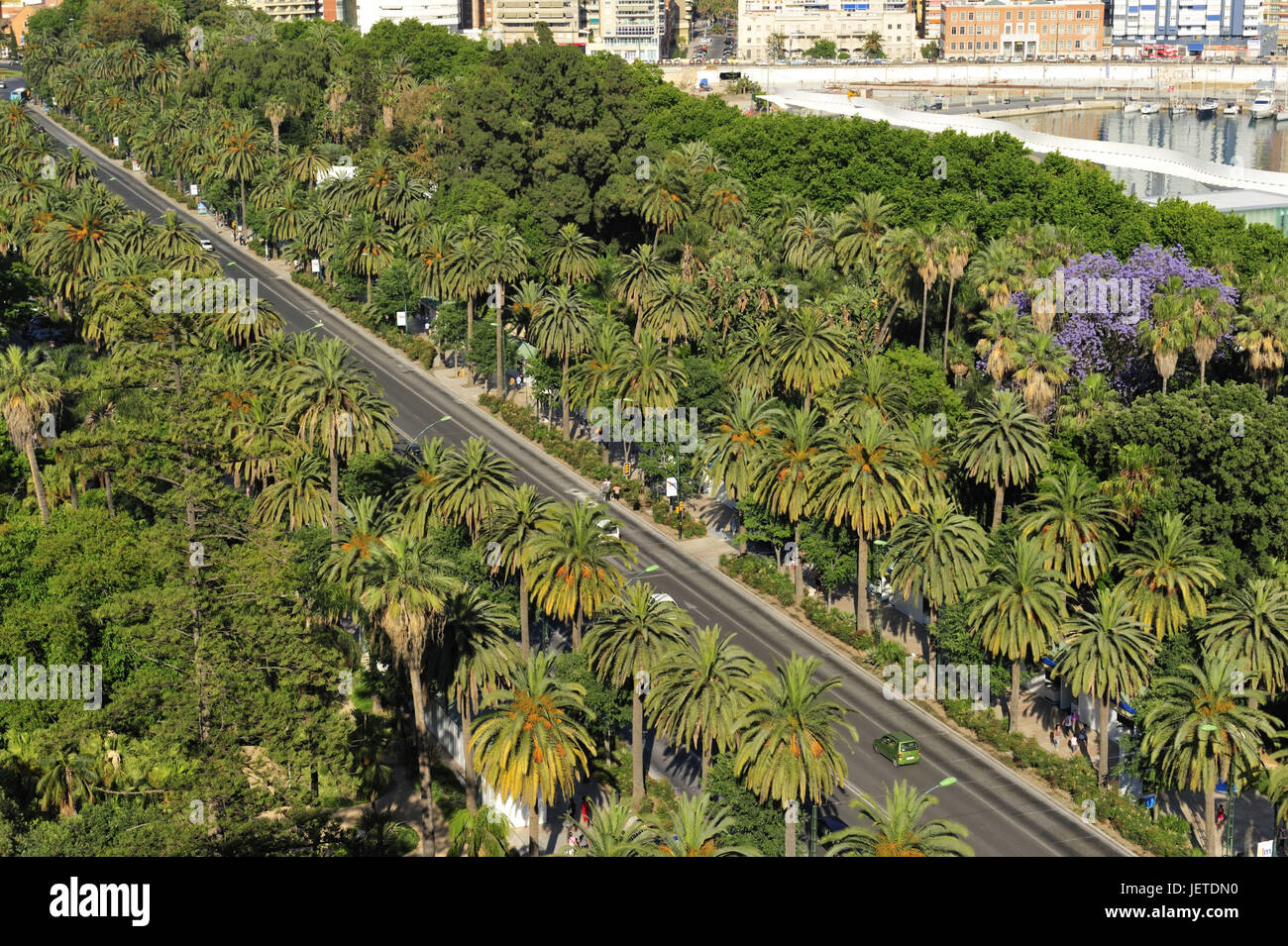 Spanien, Malaga, Blick auf den Panoramaweg Paseo del Parque, Stockfoto