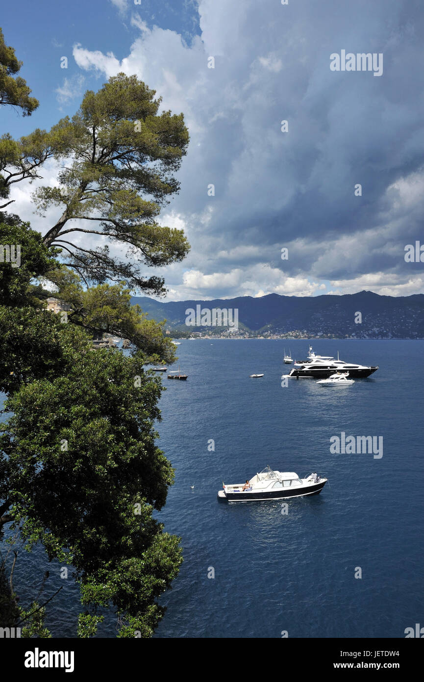 Italien, Ligurien, Riviera Tu der Levante, Portofino, Costa Paraggi, Motor Yacht vor der Küste von Galle, Stockfoto