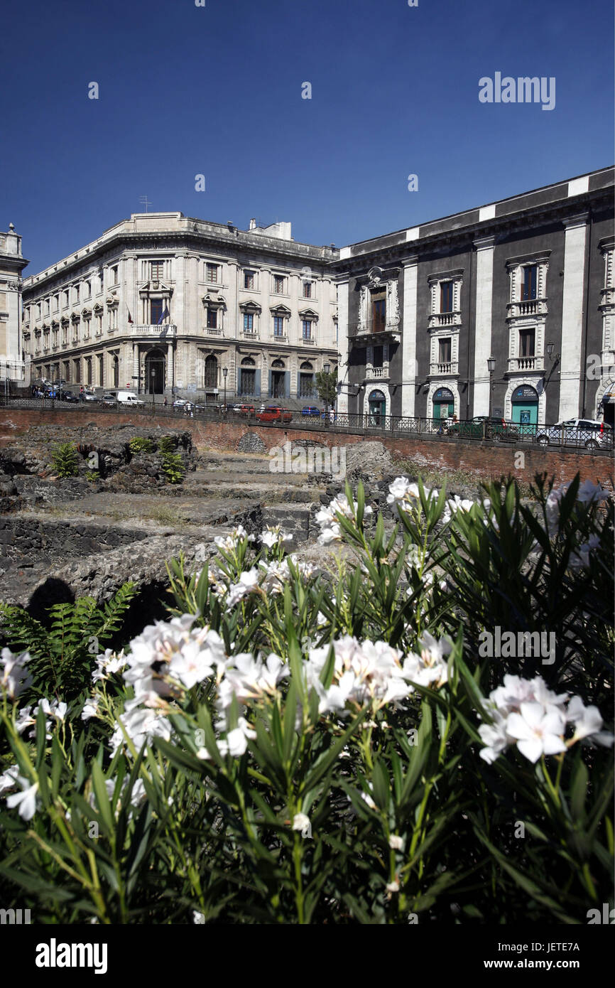 Italien, Sizilien, Catania, Old Town, Piazza Stesicoro, Anfiteatro Romano, Südeuropa, Stadt, Häuser, Gebäude, Amphitheater, römische, Architektur, Struktur, Überreste, Kultur, Ort von Interesse, Reiseziel, Tourismus, Stockfoto