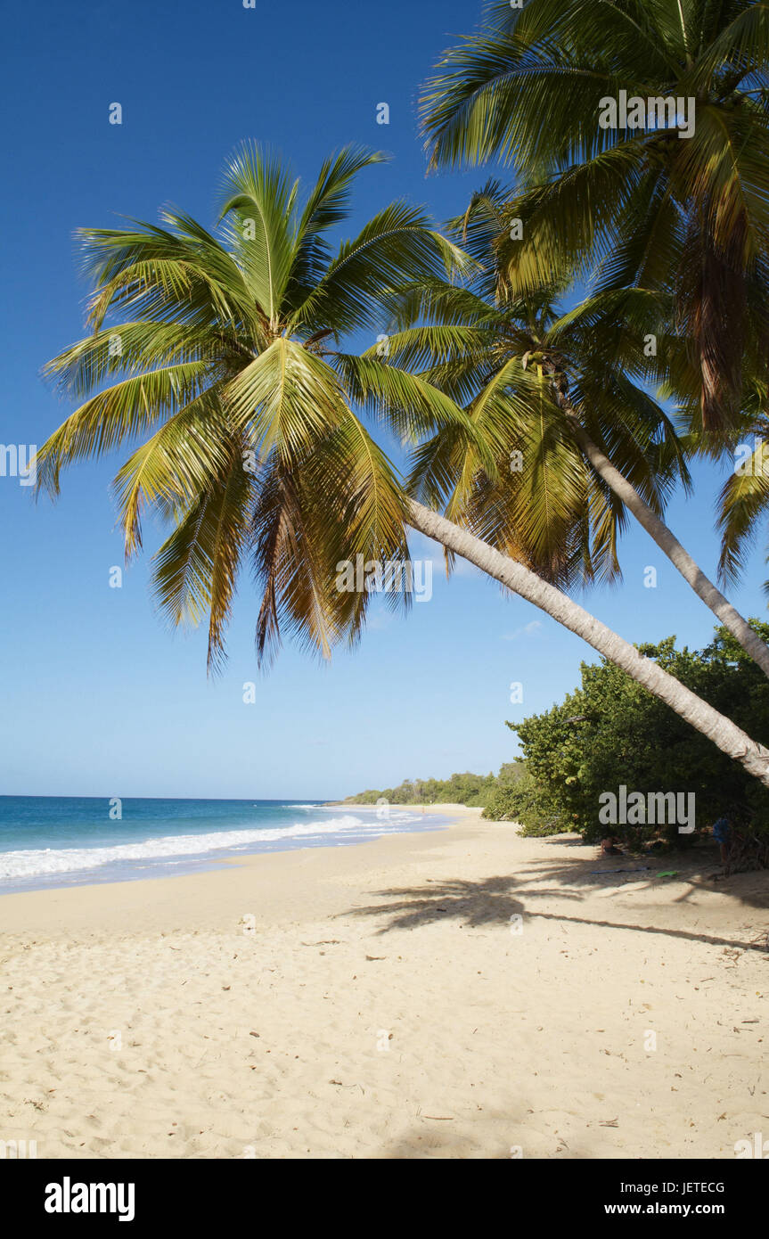 Martinique, Sainte Anne Beach, Stockfoto