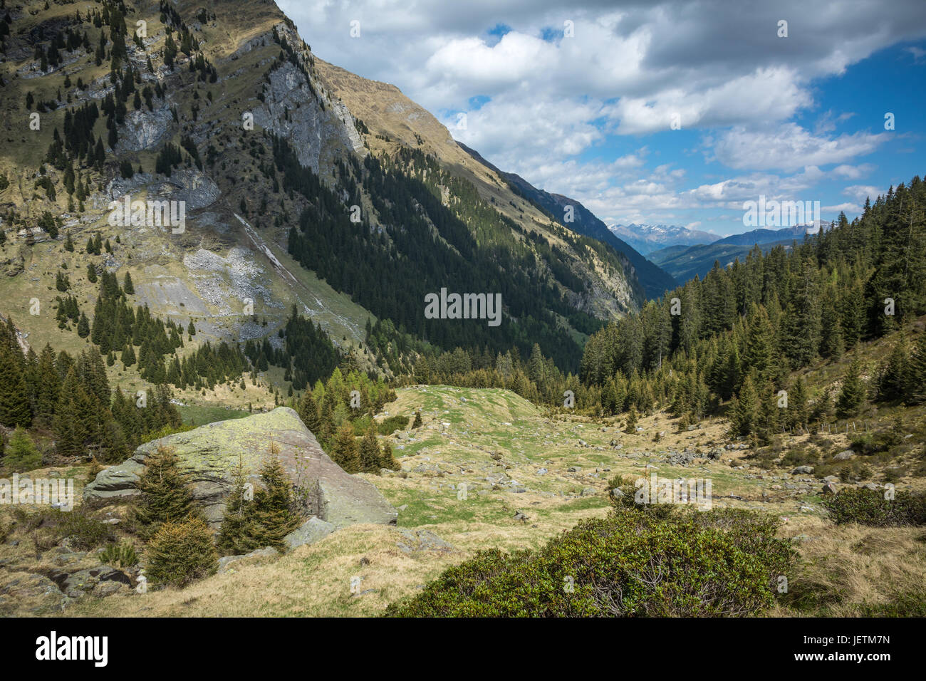 Ratschings-Tal im Süden Südtirol, Italien. Blick ins Tal im Sommer Stockfoto