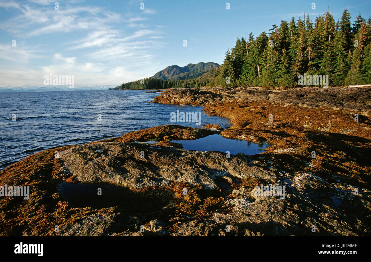 Bank-Landschaft in den Prince William Sound, Alaska, Rahmen Im Prinz-William-Sund - Alaska Stockfoto