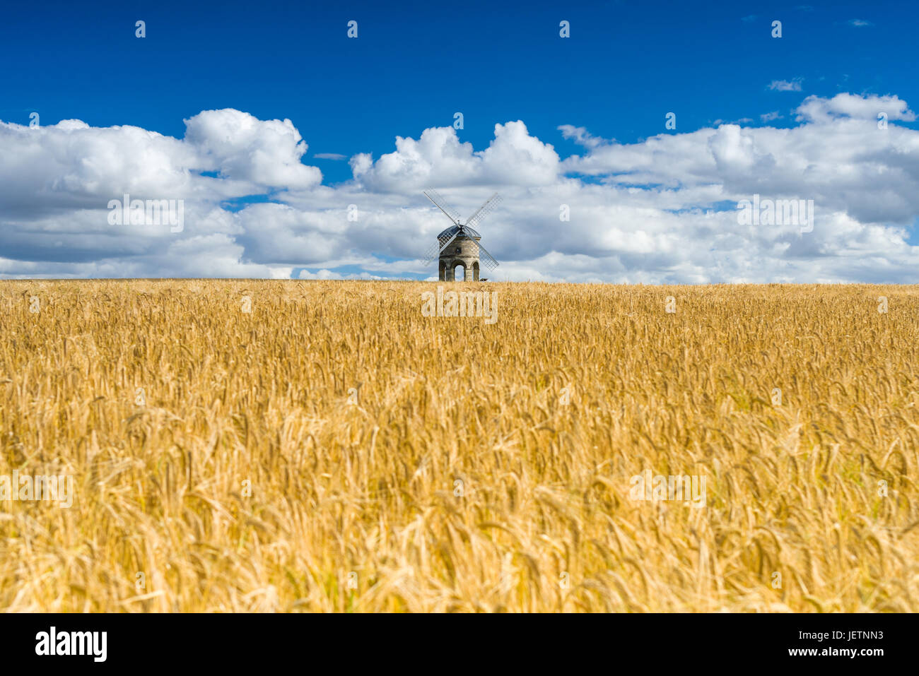 Chesterton Windmill im Sommer Weizenfeld, Warwickshire, Großbritannien Stockfoto