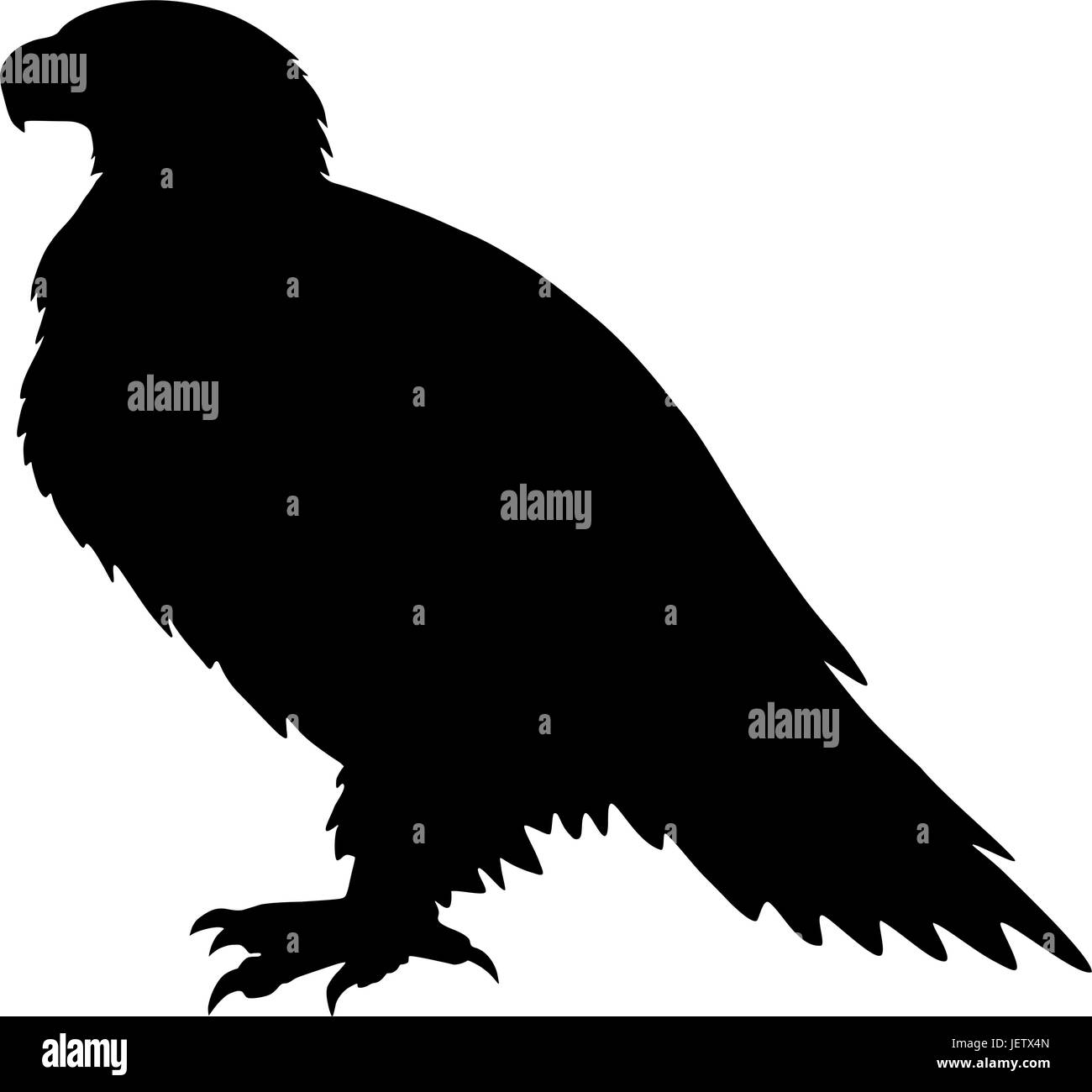 Eagle Vector Stock Vektor