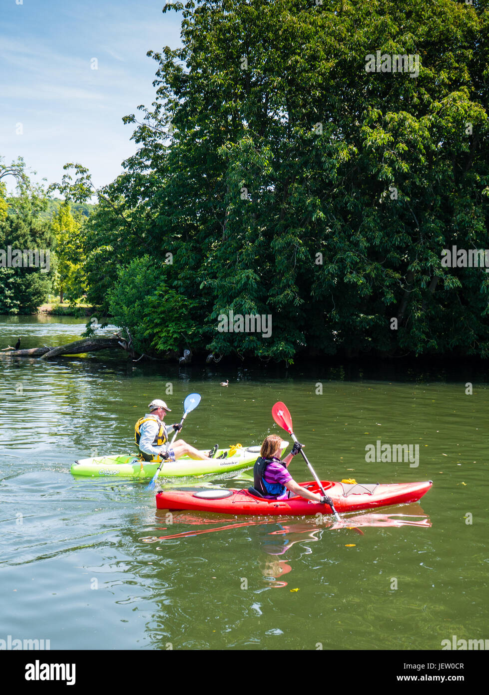 Paar Kanusport, Themse, Henley-on-Thames, Oxfordshire, England, GB, GB. Stockfoto