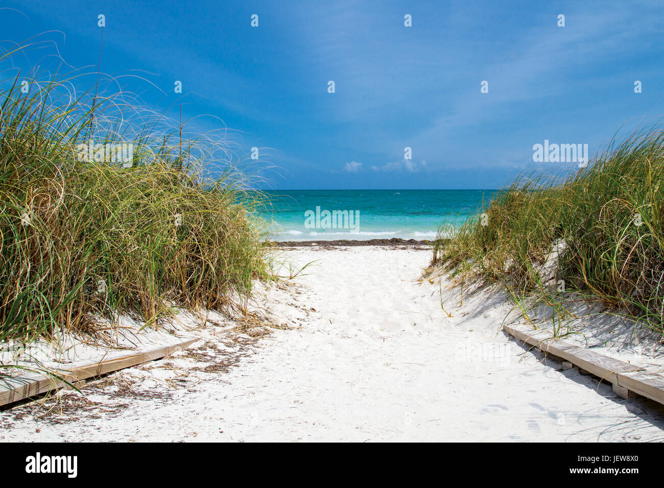 Strand im Bahia Honda State Park in Florida Stockfoto