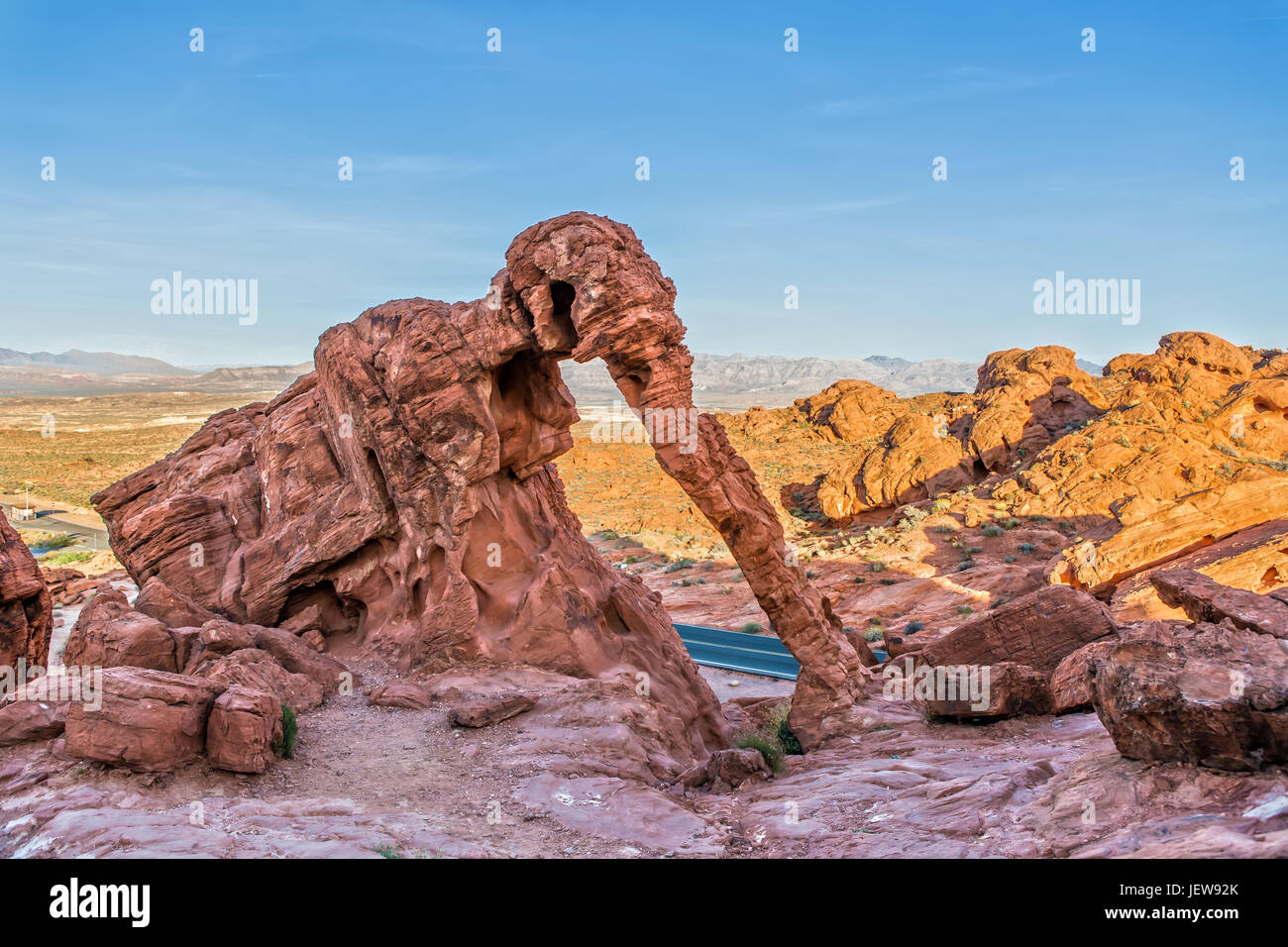 Elephant Rock im Valley of Fire State Park in Nevada Stockfoto