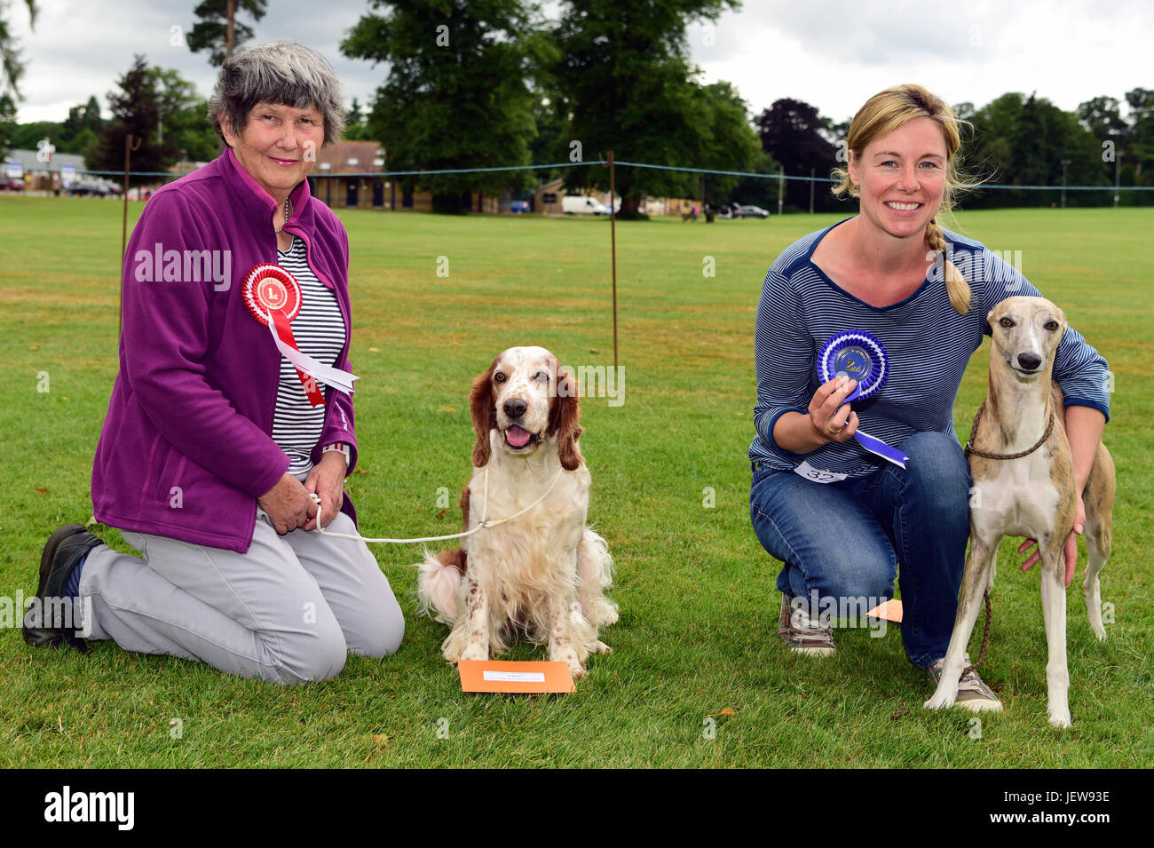 Besitzer mit ihren Cannines (Welsh Springer & Whippet), die ersten & zweiten Preis in der Kategorie beste sportliche Hunde eine Begleiter-Hundeausstellung, Alton gewonnen, Stockfoto