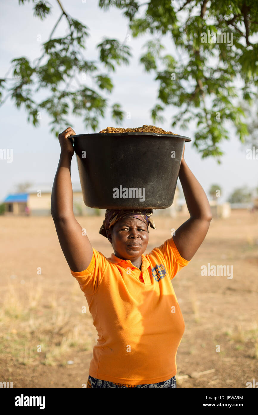 Eine Frauenkooperative verarbeitet und parboils Reis als Einkommen schaffende Tätigkeit Upper East Region, Ghana. Stockfoto