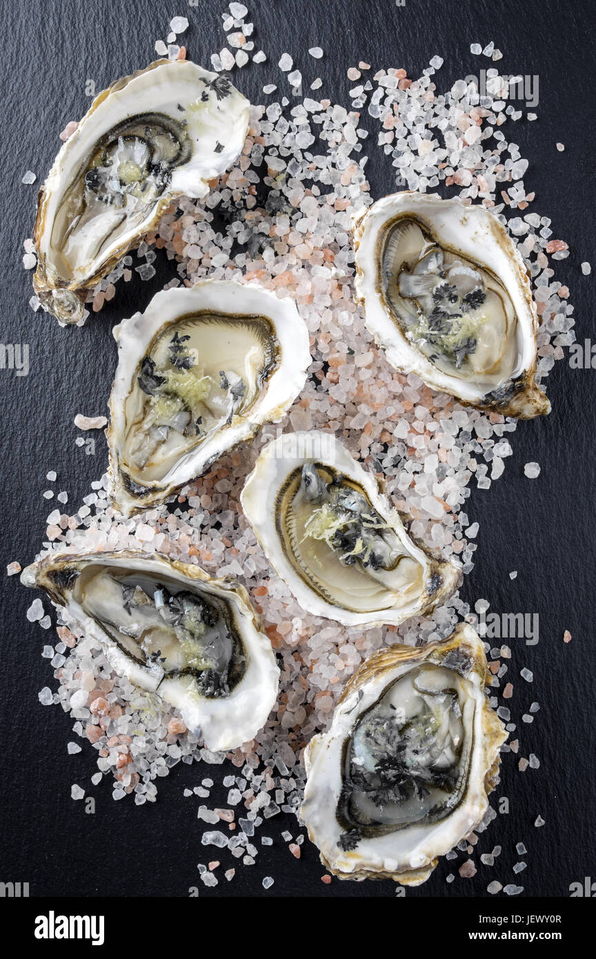 Sydney rock austern -Fotos und -Bildmaterial in hoher Auflösung – Alamy