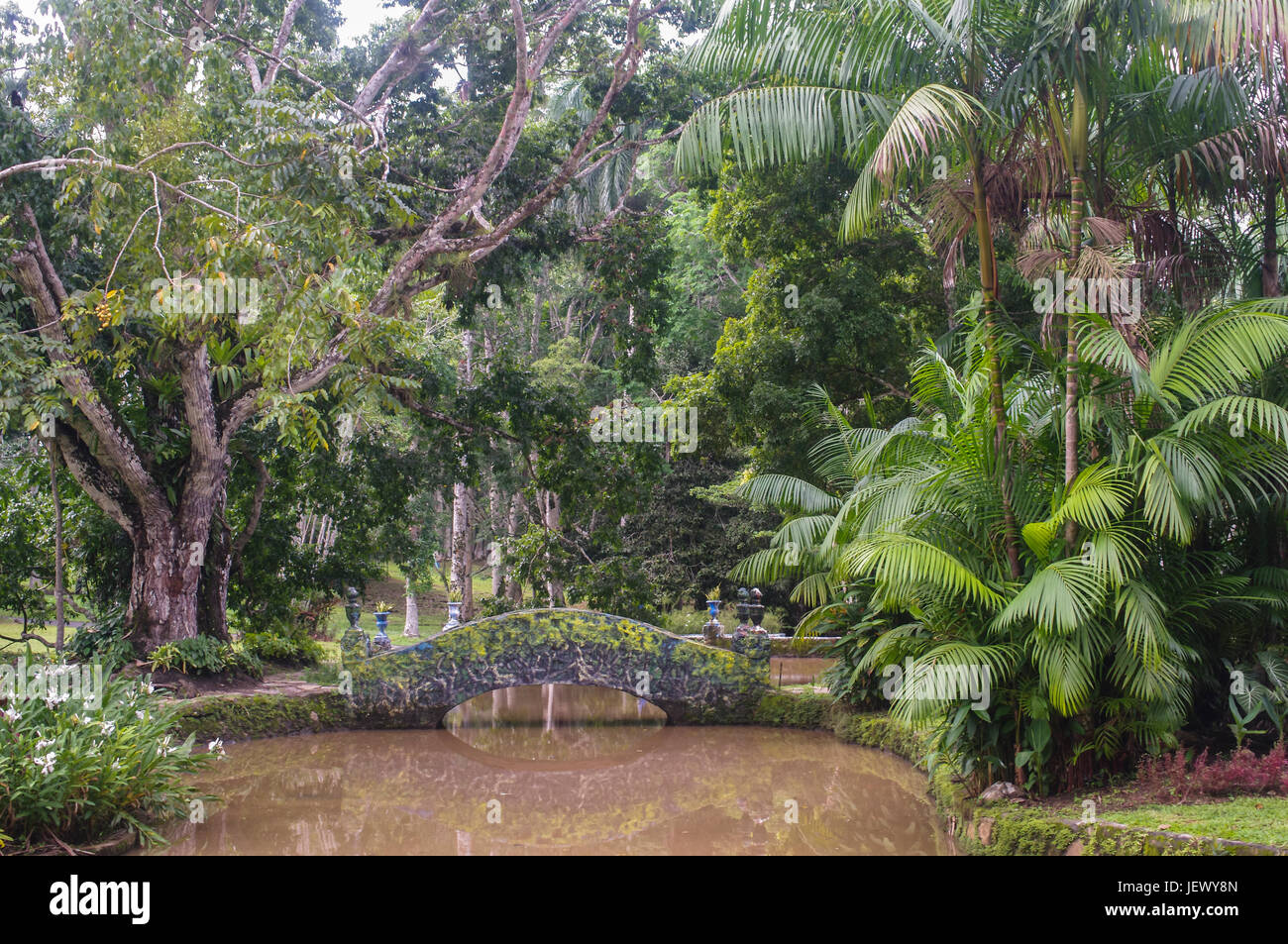 Rain Forest Summit Botanical Gardens, Panama mit Brücke Park Szene Stockfoto