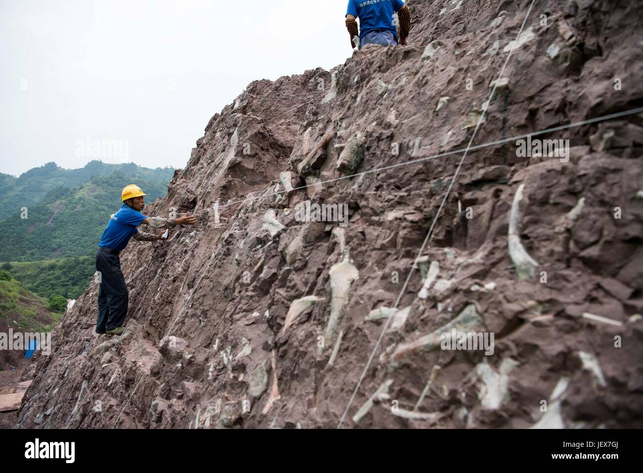 Chongqing, China Chongqing. 22. Juni 2017. Techniker reinigen Dinosaurier Fossil in Pu'an Township, Südwest-China Chongqing, 22. Juni 2017. Mehr als 5.000 Fossilien sind ausgegraben worden von einer "fossilen Wand' im Pu'an Township, Yunyang County, seit Oktober letzten Jahres nur ein Jahr, nachdem die Website von einem örtlichen Bauern entdeckt wurde. Bildnachweis: Liu Chan/Xinhua/Alamy Live-Nachrichten Stockfoto