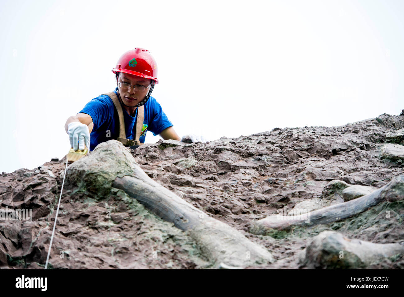 Chongqing, China Chongqing. 22. Juni 2017. Ein Techniker reinigt Dinosaurier Fossil in Pu'an Township, Südwest-China Chongqing, 22. Juni 2017. Mehr als 5.000 Fossilien sind ausgegraben worden von einer "fossilen Wand' im Pu'an Township, Yunyang County, seit Oktober letzten Jahres nur ein Jahr, nachdem die Website von einem örtlichen Bauern entdeckt wurde. Bildnachweis: Liu Chan/Xinhua/Alamy Live-Nachrichten Stockfoto