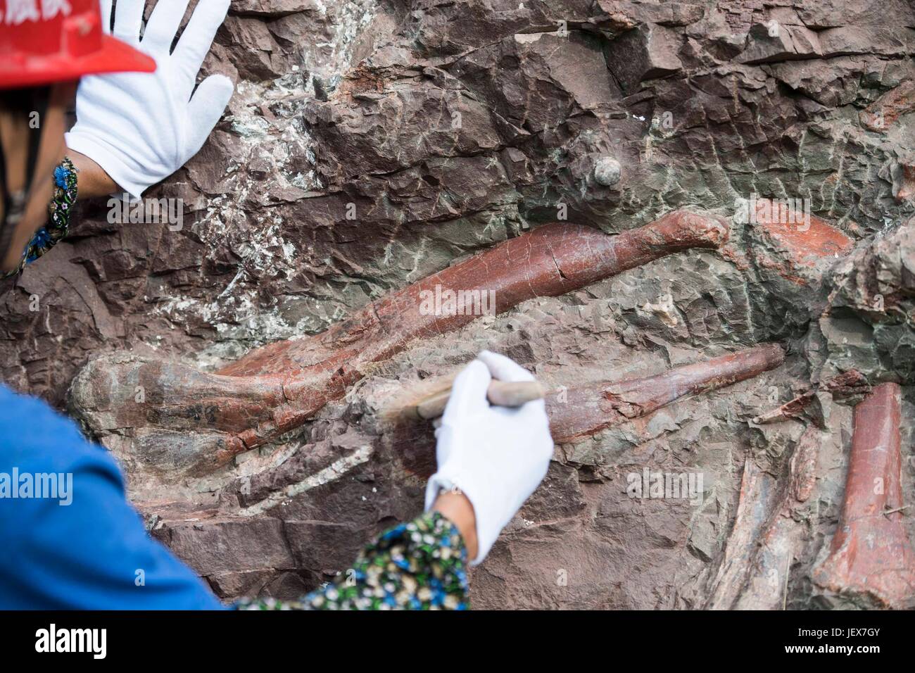 Chongqing, China Chongqing. 22. Juni 2017. Ein Techniker reinigt Dinosaurier Fossil in Pu'an Township, Südwest-China Chongqing, 22. Juni 2017. Mehr als 5.000 Fossilien sind ausgegraben worden von einer "fossilen Wand' im Pu'an Township, Yunyang County, seit Oktober letzten Jahres nur ein Jahr, nachdem die Website von einem örtlichen Bauern entdeckt wurde. Bildnachweis: Liu Chan/Xinhua/Alamy Live-Nachrichten Stockfoto