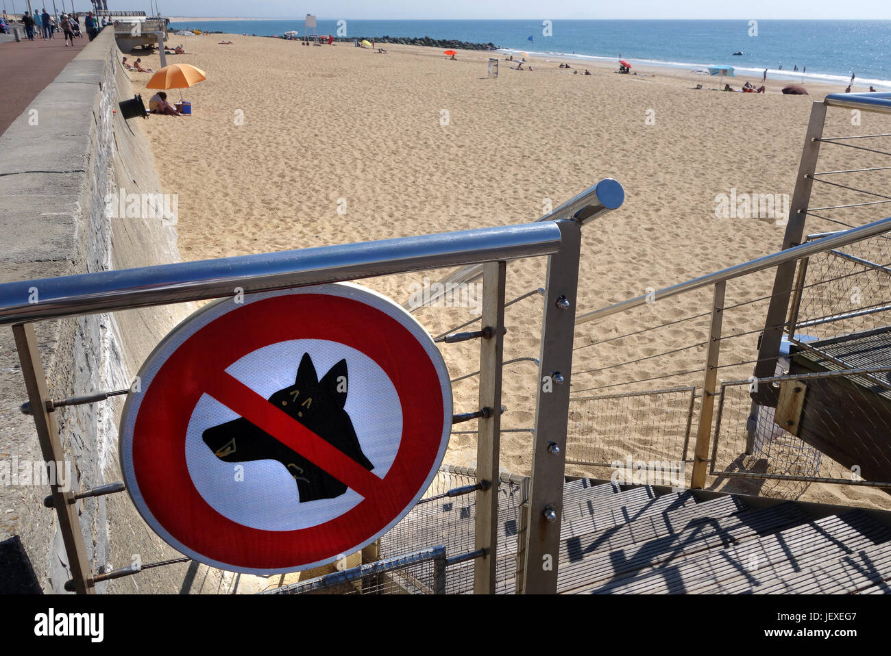 Zeichen, die ein Verbot Hunde von Capbreton Strand in Südwestfrankreich Stockfoto