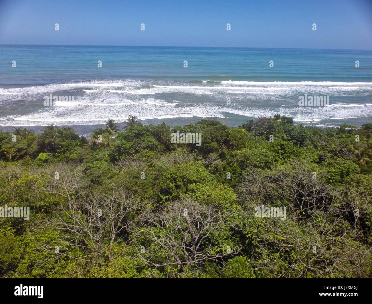 Tropischen Regenwald trifft das Karibische Meer in Humedal Caribe