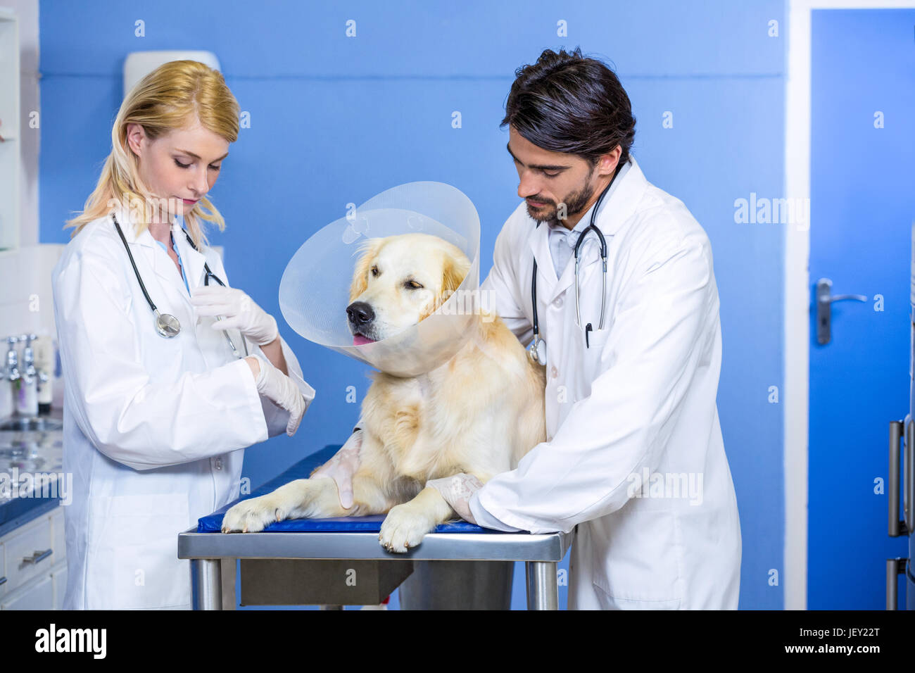 Zwei Tierärzte die Pflege eines Hundes Stockfoto