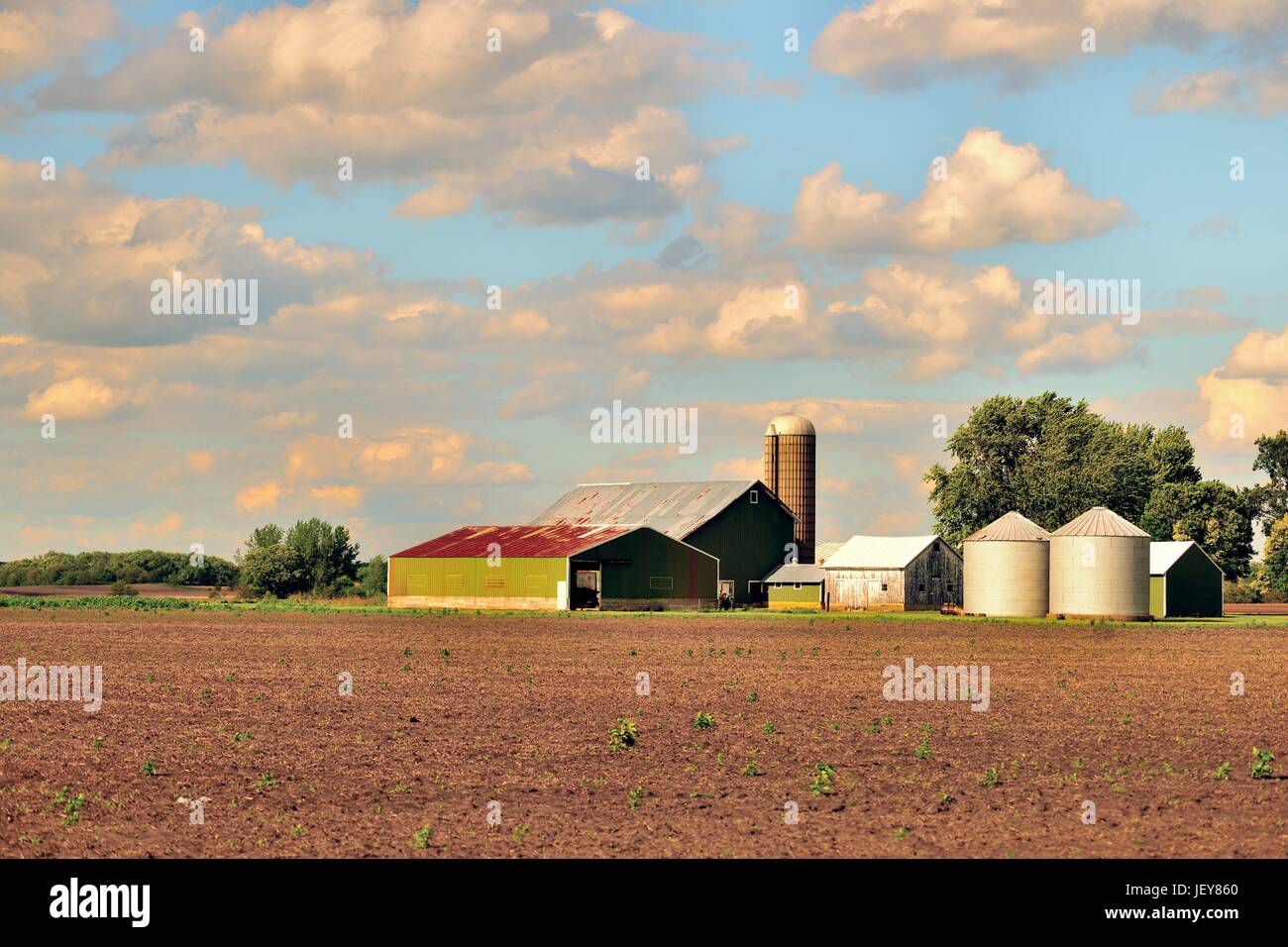 Burlington, Illinois, USA. Eine Vielzahl von landwirtschaftlichen Gebäuden bieten eine ruhige Lage auf einer Illinois Bauernhof. Stockfoto