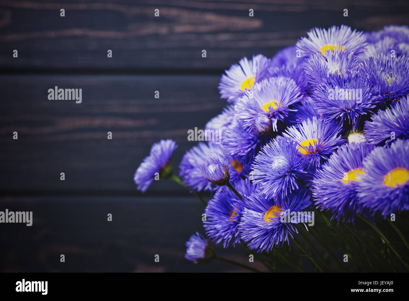 Blumen-Gänseblümchen, Schönheit Stillleben gegen alten Schreibtisch aus Holz Stockfoto