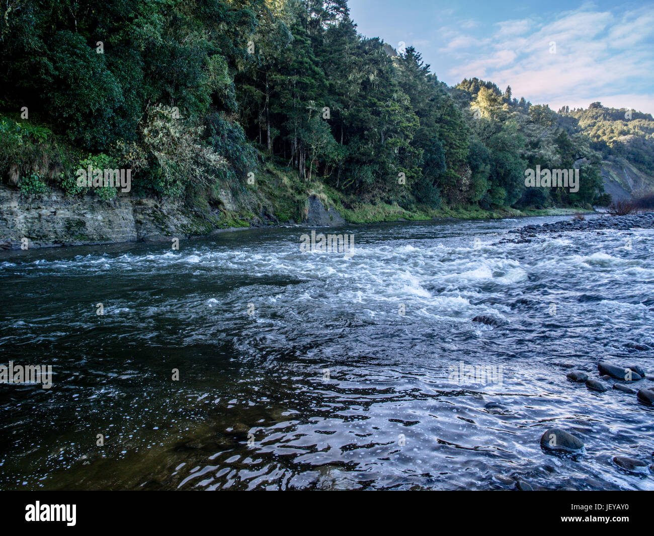 Zusammenfluss der Whanganui und Whakapapa, Kakahi, Ruapehu-Distrikt, Nordinsel, Neuseeland Stockfoto