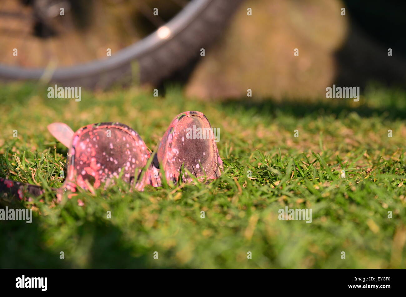 Sonnenbrille, die sitzen auf dem Rasen auf Farbe Summer Festival Stockfoto