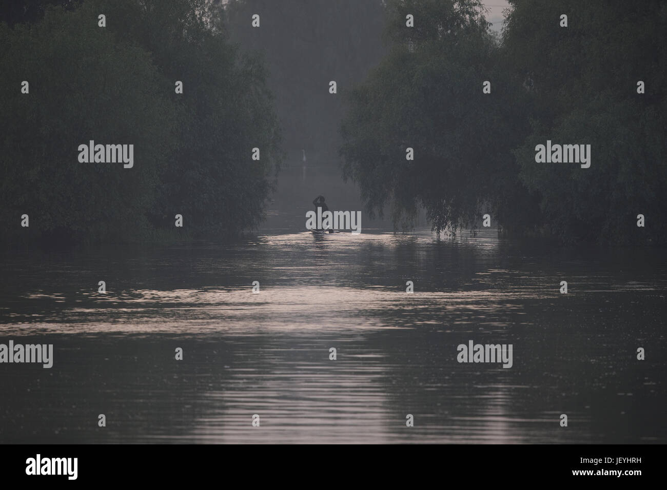 Mann, Kanufahren Donau Stockfoto