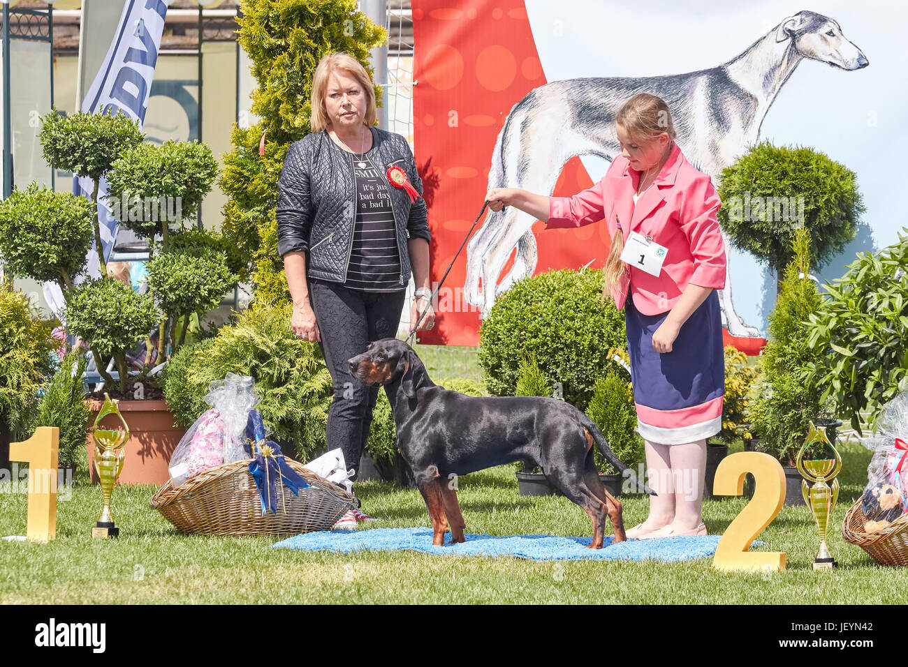 Stettin, Polen - 10. Juni 2017: Gewinner des junior-Kategorie mit einem Richter in der 31. West Pommersche National Dog Show. Stockfoto