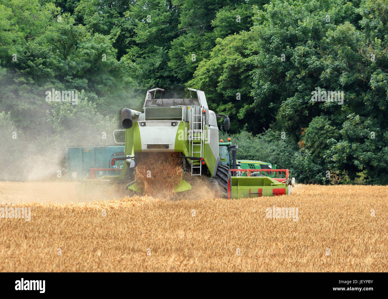 Schneiden von Weizen in einem Feld im ländlichen England Mähdrescher Stockfoto
