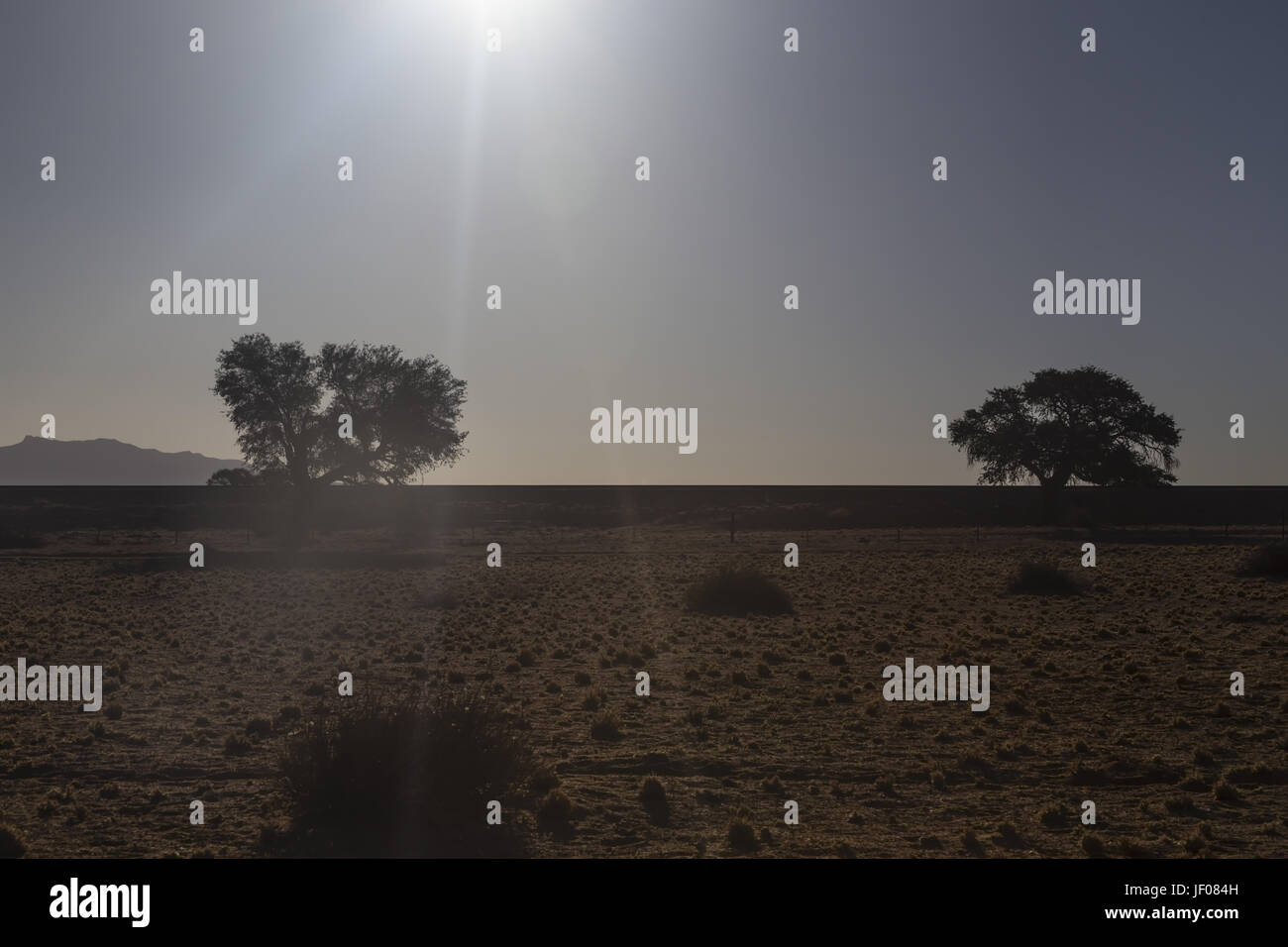 Abendstimmung in der Wüste Stockfoto