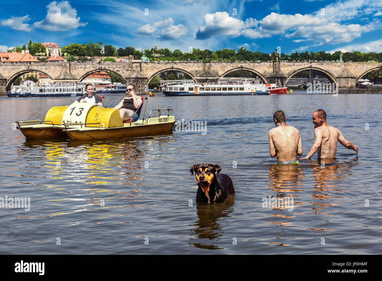 Tägliches Leben Prag Sommer heißer Tag Touristen auf Tretboot Prag Menschen mit Hund baden in Prag Moldau Karlsbrücke Tschechische Republik Europa Stockfoto