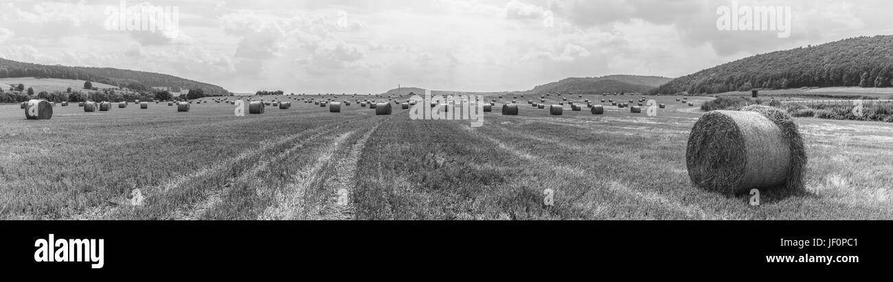 Die Zeit der Ernte - Strohballen in einem Feld Stockfoto