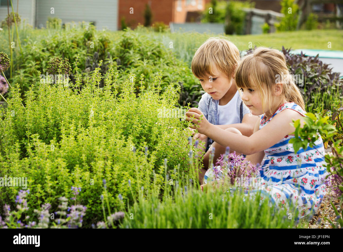 Jungen und Mädchen kniend nebeneinander durch ein Strauch in einem Garten. Stockfoto