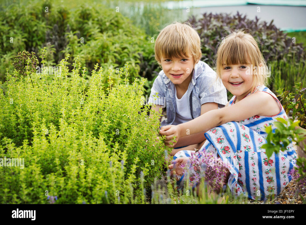 Jungen und Mädchen kniend nebeneinander durch ein Strauch in einem Garten, in die Kamera Lächeln. Stockfoto
