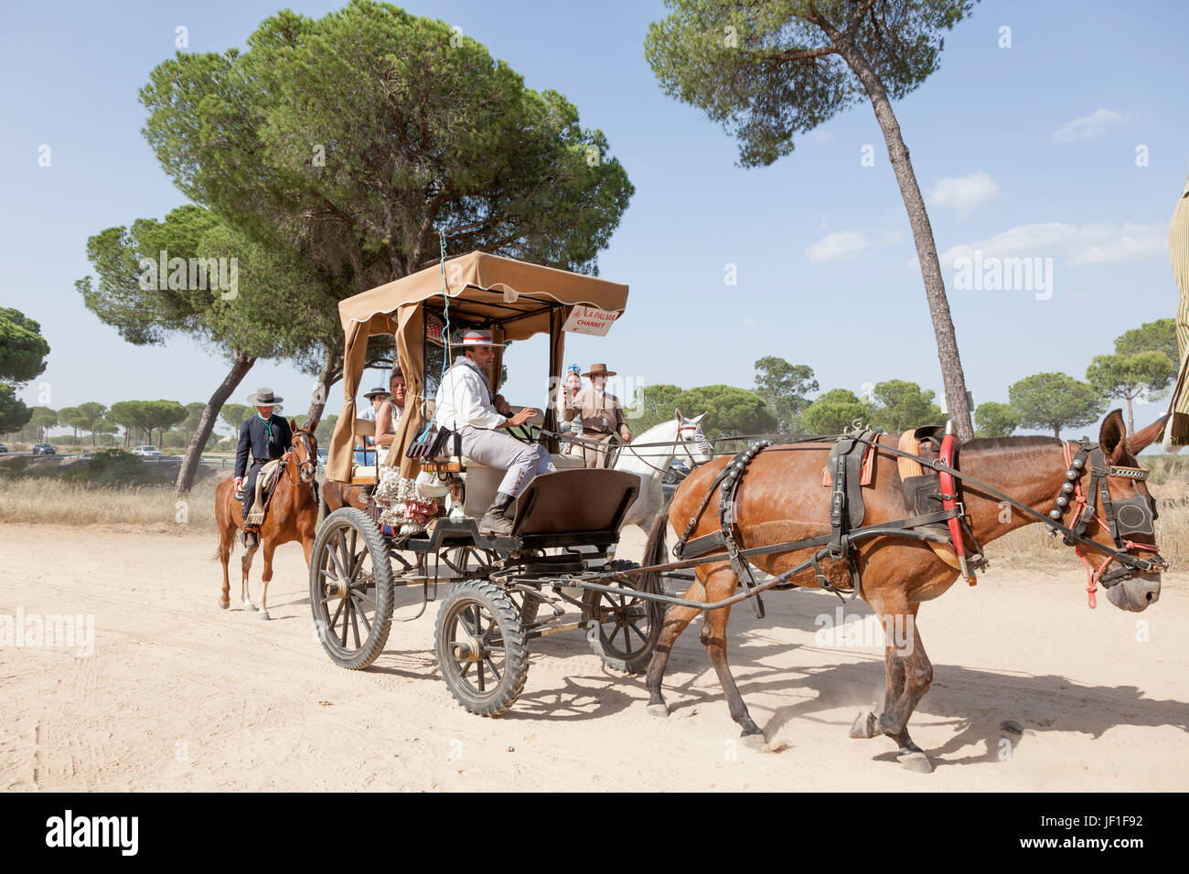 El Rocio, Spanien - 1. Juni 2017: Pilger in einer Kutsche auf der Straße nach El Rocio während die Romeria 2017. Provinz Huelva, Almonte, Andal Stockfoto