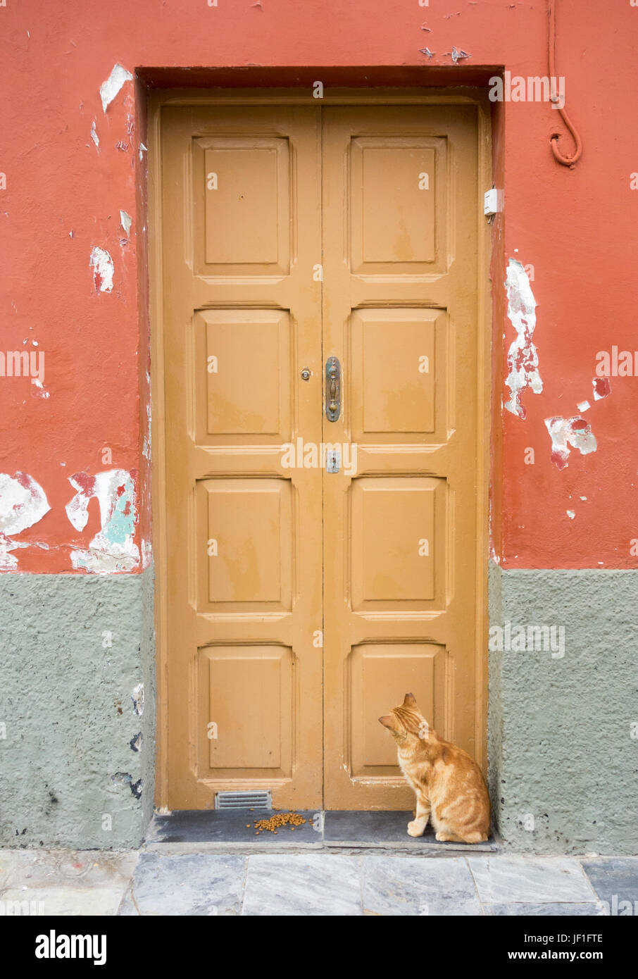Katze sitzt im Eingang des Hauses in Spanien mit Katzenfutter auf Schritt Stockfoto
