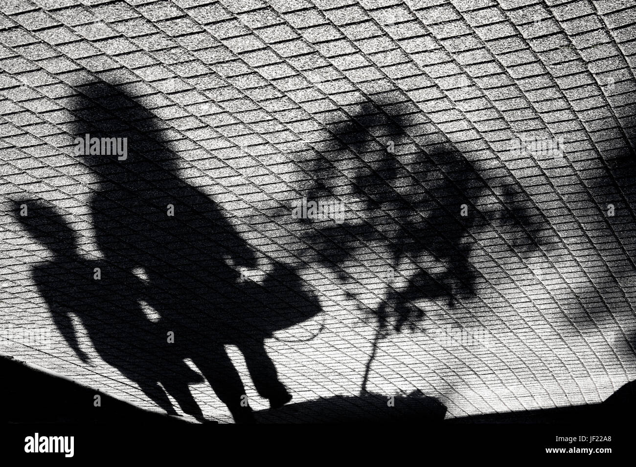 Schatten einer Frau, ein Kind und ein kleiner Baum auf einem Stadt-Pflaster Stockfoto
