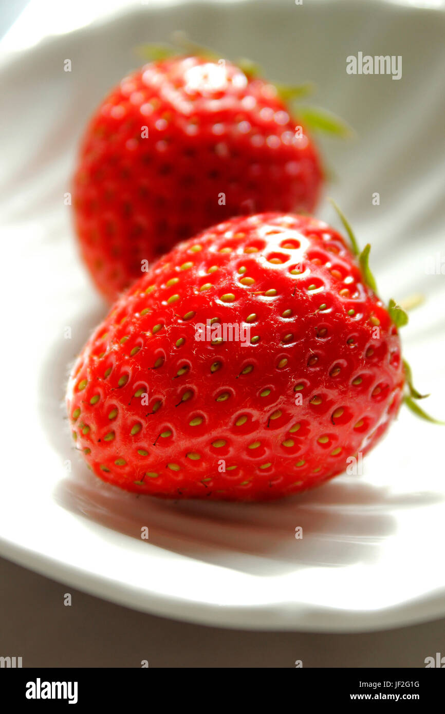 Zwei saftige nahm frisch englische Erdbeeren Stockfoto