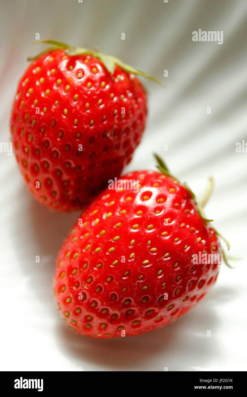 Zwei saftige nahm frisch englische Erdbeeren Stockfoto