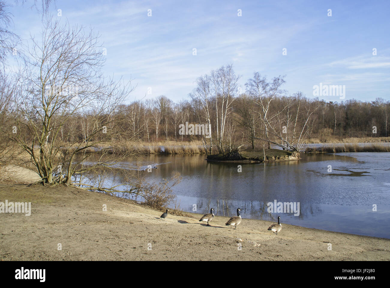 Silver Sea in Nürnberg, Bayern Deutschland Stockfoto