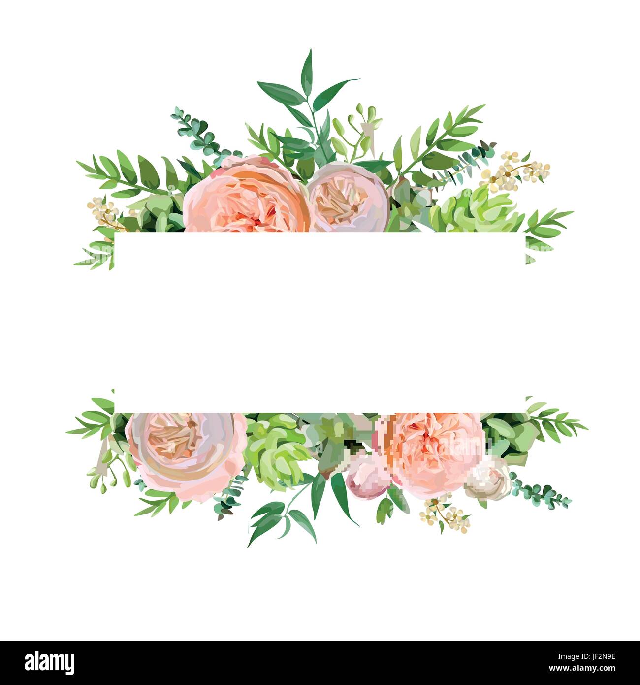 Vektor floralen Design horizontale Kartendesign. Weiche rosa Pfirsich englischen Garten rose, Eukalyptus grünen Farn saisonale Zweige Blätter-Mix. Gruß invitat Stock Vektor