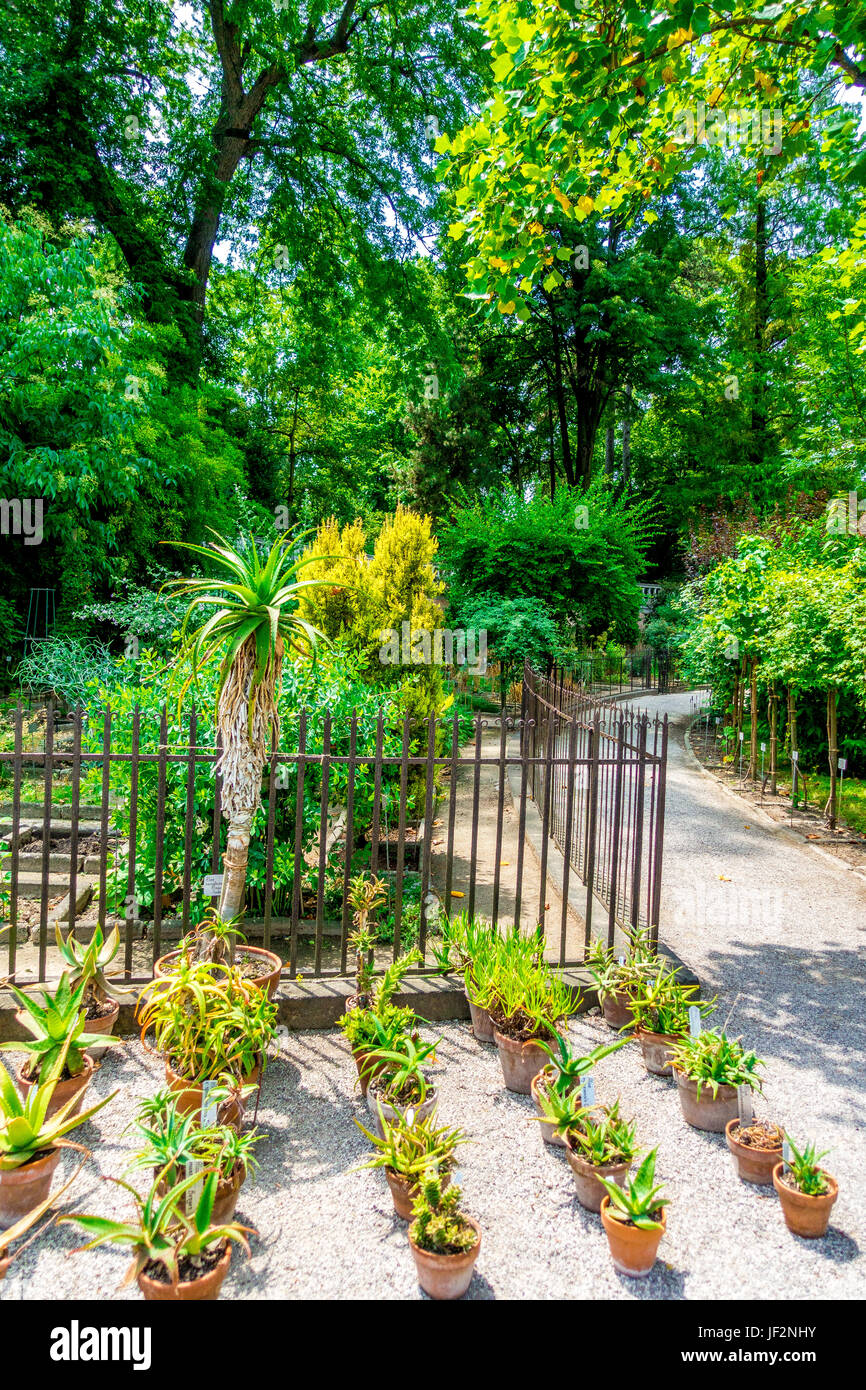 Botanischer Garten In Padua Italien Stockfoto Bild 146963655