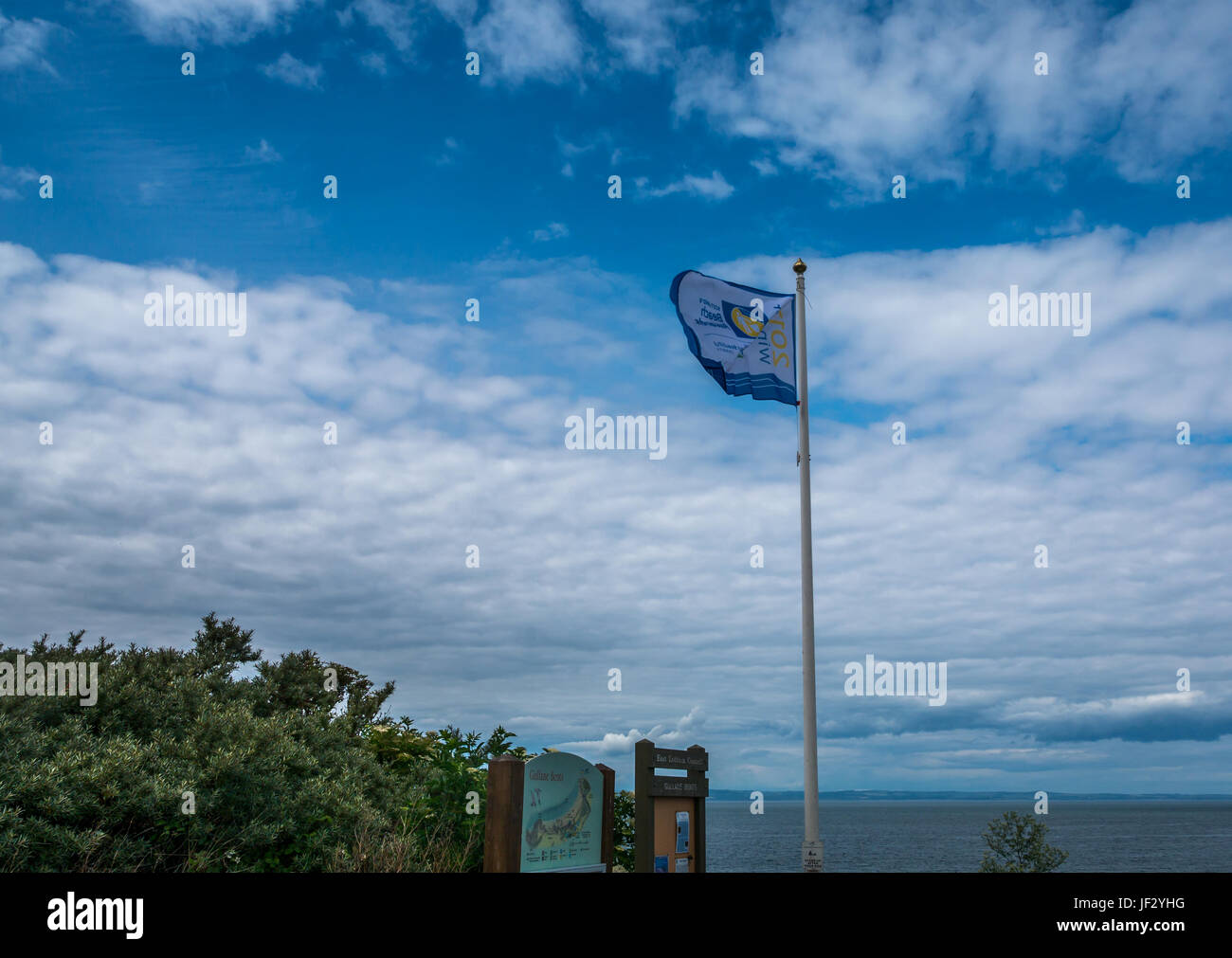 Halten Schottland Schöne, Schottlands sauberen Strand Award Flagge im Gullane Strand fliegen, East Lothian, Schottland, Großbritannien Stockfoto