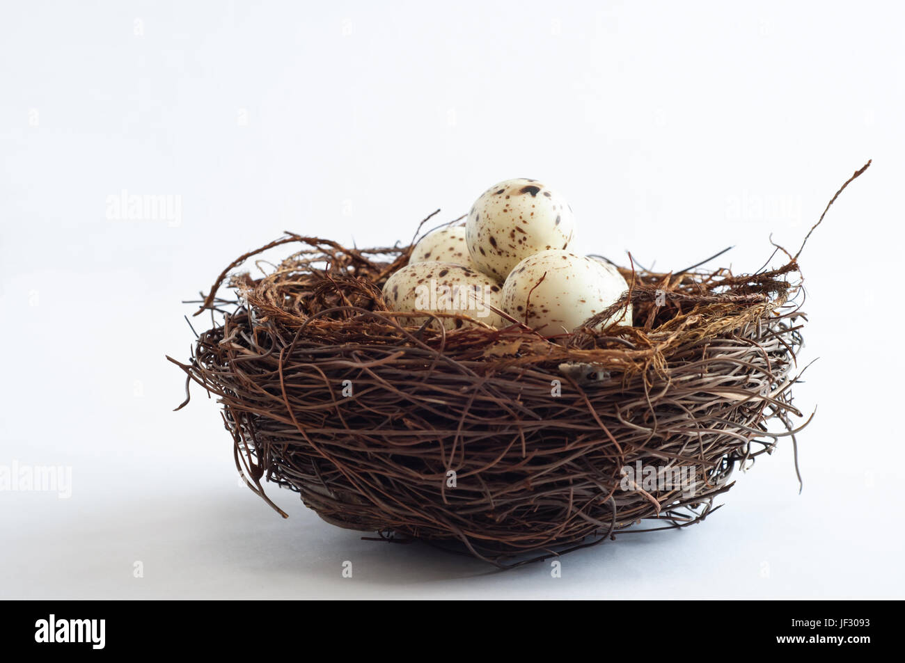 Ein Vogel-Nest aus Zweigen, mit leicht gesprenkelte gefälschte Eiern hergestellt. Stockfoto