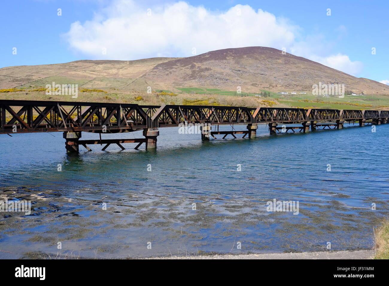 Die Eisenbahnbrücke über den Fluss Fertha in Cahirsiveen, County Kerry, Irland auf den Ring of Kerry-Route und die Wild Atlantic Way Stockfoto