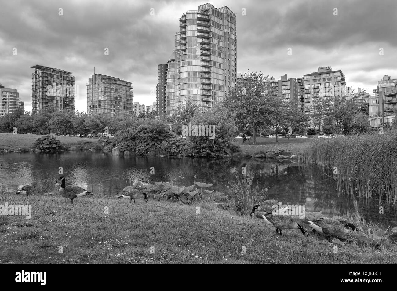 Von Vancouver British Columbia. Kanada Stockfoto