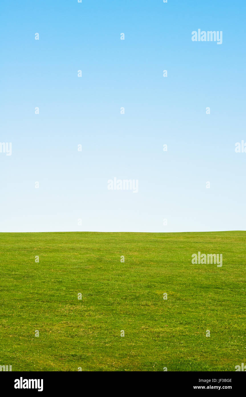 Grün und blauen Himmelshintergrund, Bereitstellung von textfreiraum in den Himmel.  Vertikal (Hochformat) Orientierung. Stockfoto