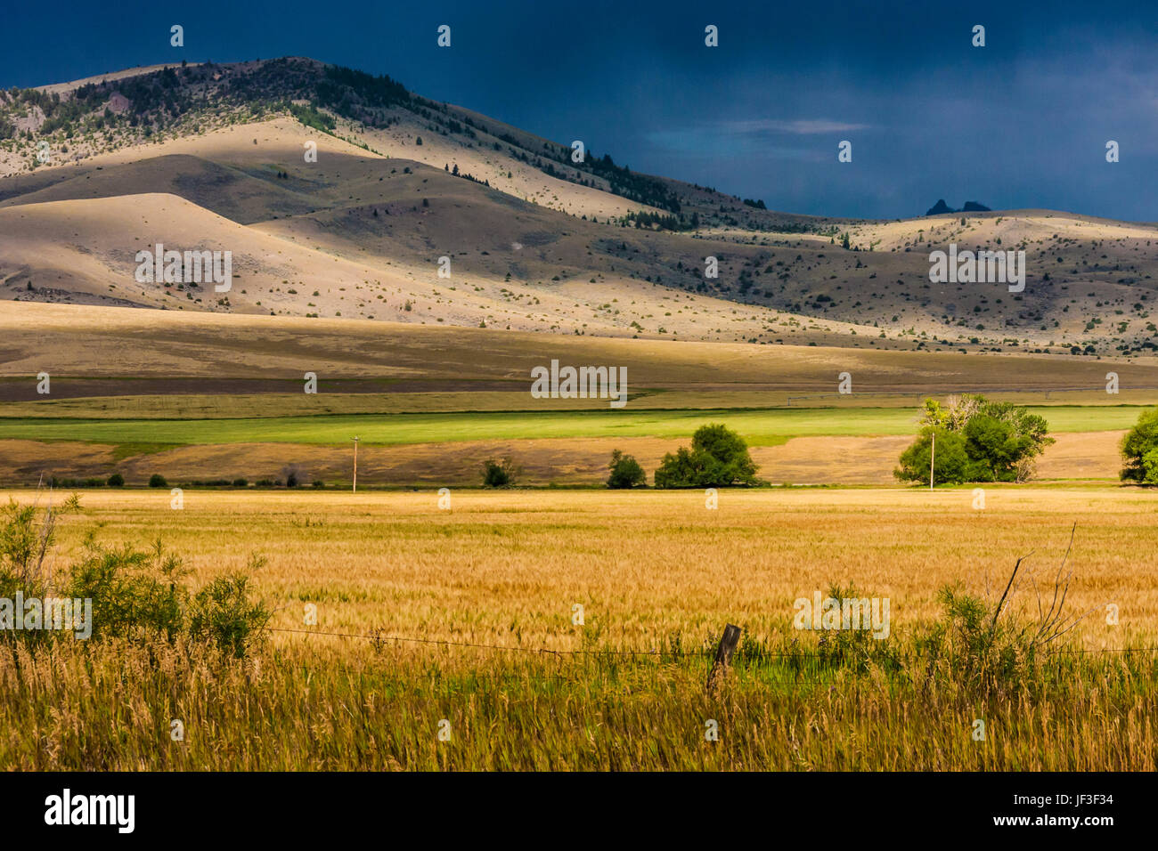 Light Before a Storm auf Farmen im Südwesten von Montana mit der Gallatin-Bergkette und dem Nationalwald in der Ferne. Getreide- und Heuwirtschaft . Stockfoto