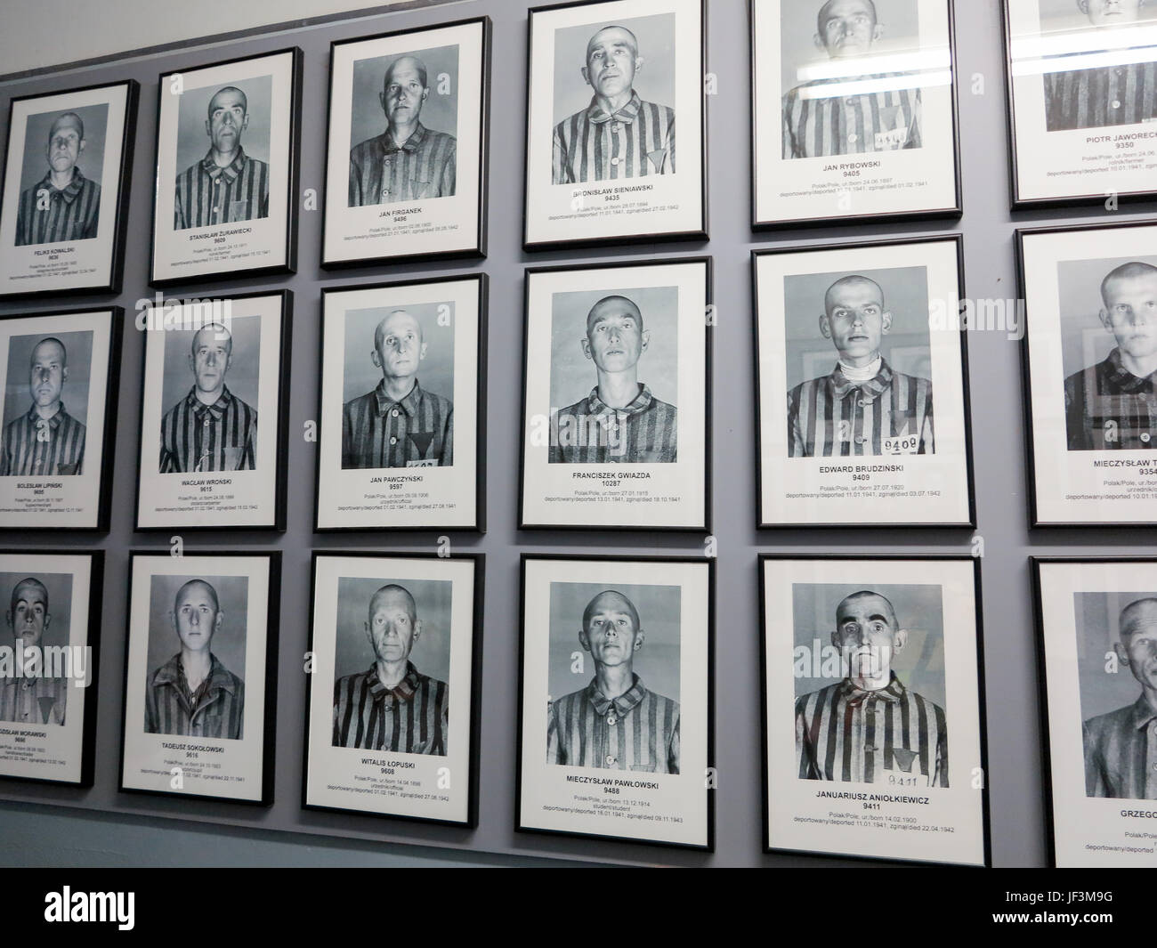 Die verlorenen Seelen von Auschwitz Stockfoto