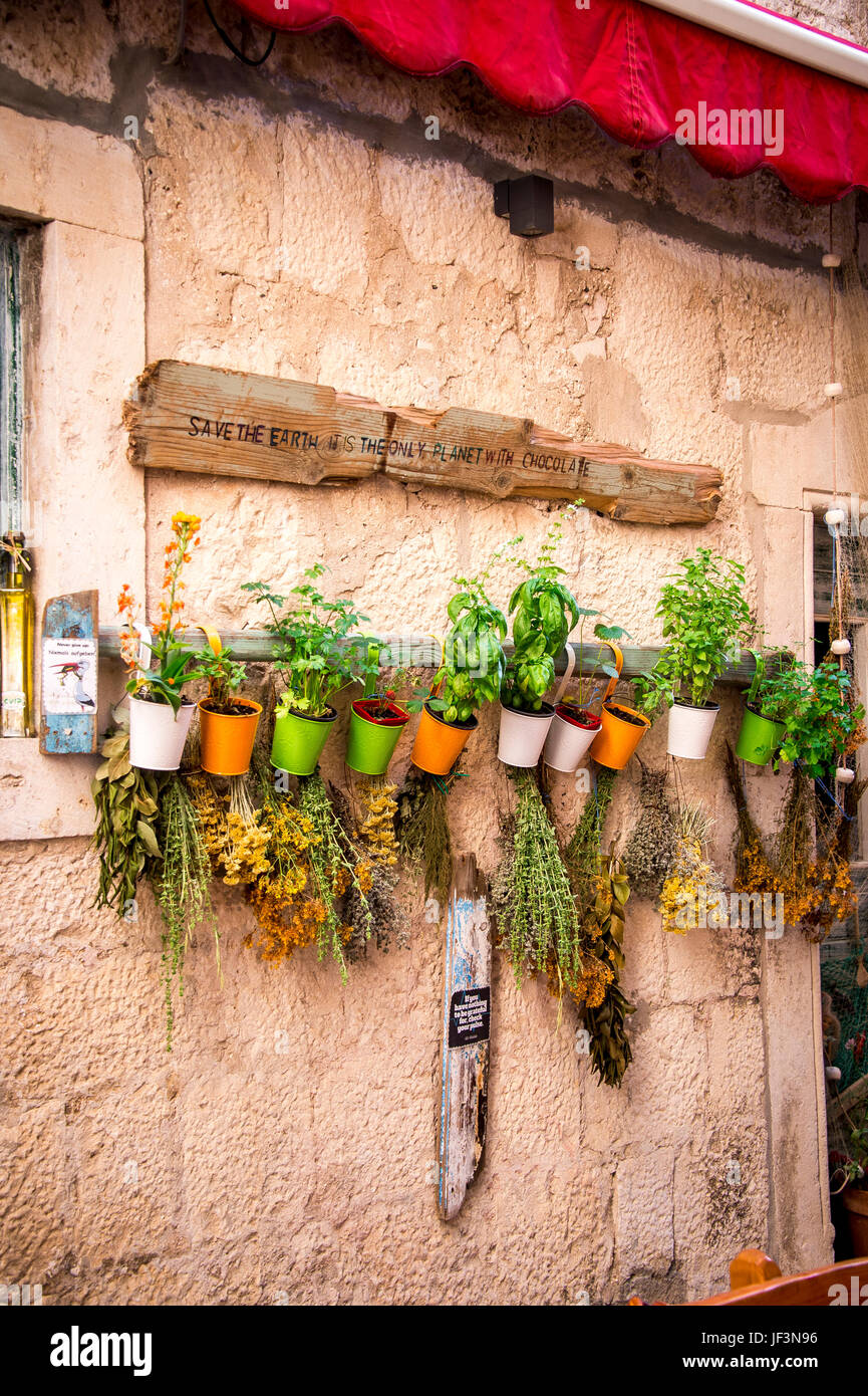Ein Laden in der Altstadt ist mit Pflanzen an den Steinmauern der Stadt Korcula, Kroatien, gesäumt Stockfoto
